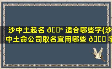 沙中土起名 💮 适合哪些字(沙中土命公司取名宜用哪些 🐝 字)